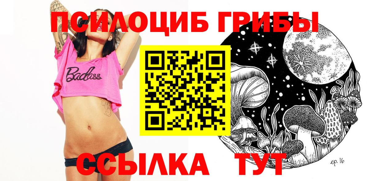 Тайшет  Псилоцибиновые грибы GOLDEN TEACHER  Вход с VPN 
