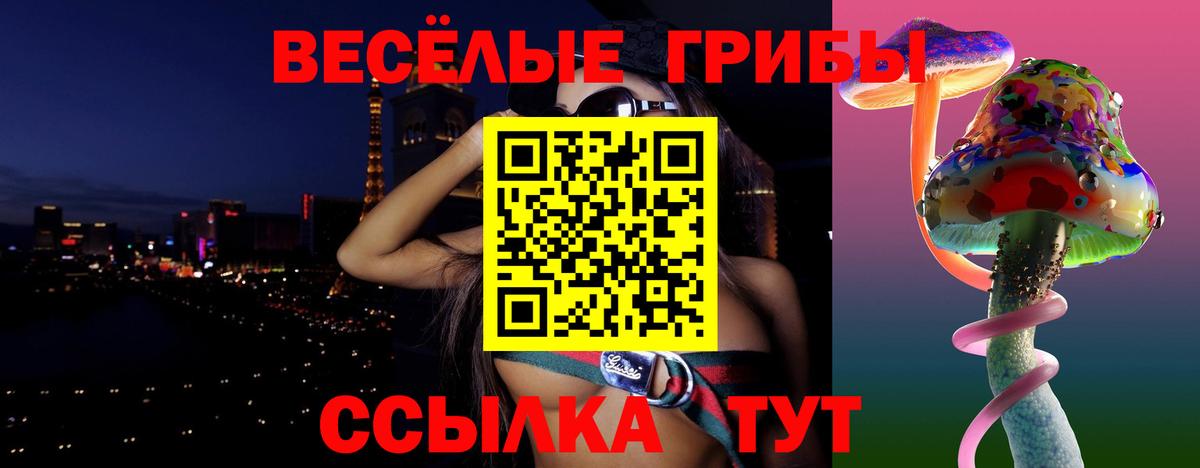 Псилоцибиновые грибы MAGIC MUSHROOMS Тайшет